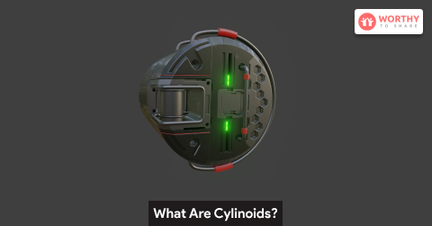What Are Cylinoids