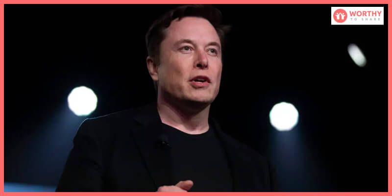 What Are The Next Steps Of Elon Musk On Twitter?