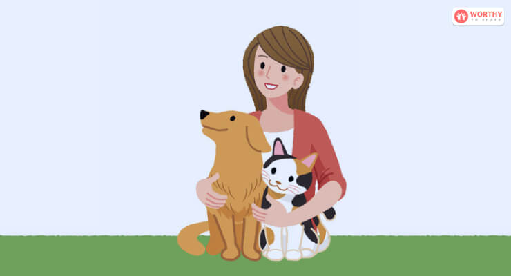 Walk Dogs Or Become A Pet Sitter