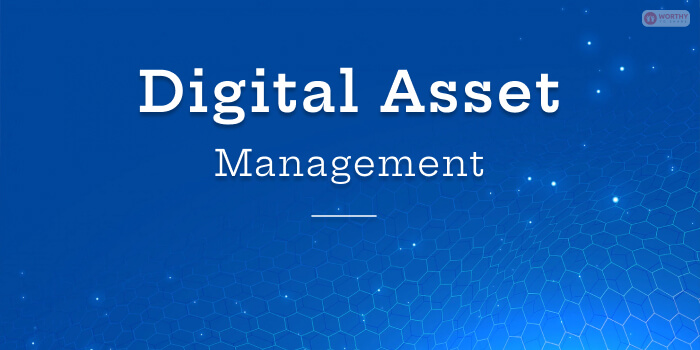 What Is Digital Asset Management
