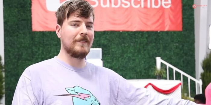 What Is The Net Worth Of Mr Beast