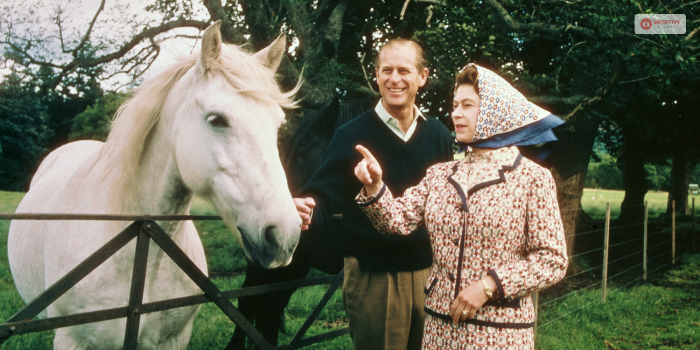 Corgis, Race Horses, Sloth, Swans, Hippos & Kangaroos- Queen Elizabeth Owns Them All!
