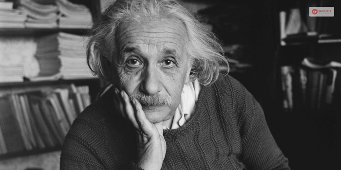 Einstein's Perception About The White Hole