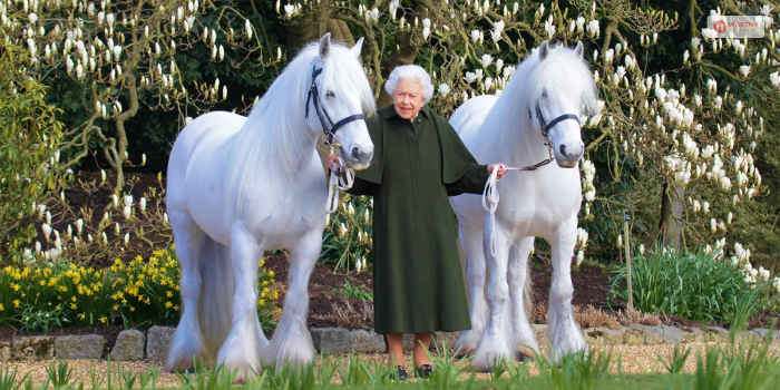 The Queen Was Fond Of Horses!