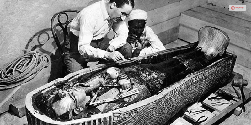 Scientists Researching That Could Fungi Could Cause The Curse Of Tutankhamun’s Tomb